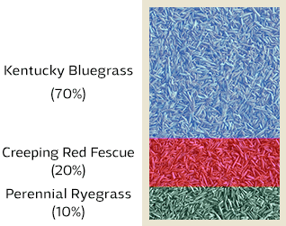 Deluxe Grass Seed Makeup