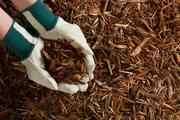 Pine Bark Mulch